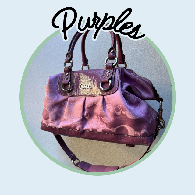 Purple Coach Y2k Bags
