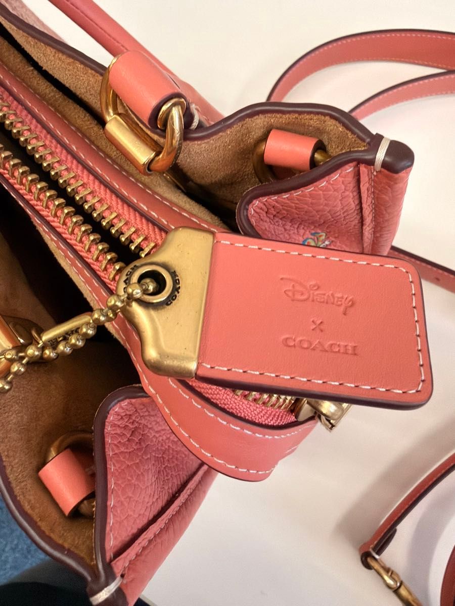 Disney X Coach Rogue 25 Mickey Mouse Garden Floral