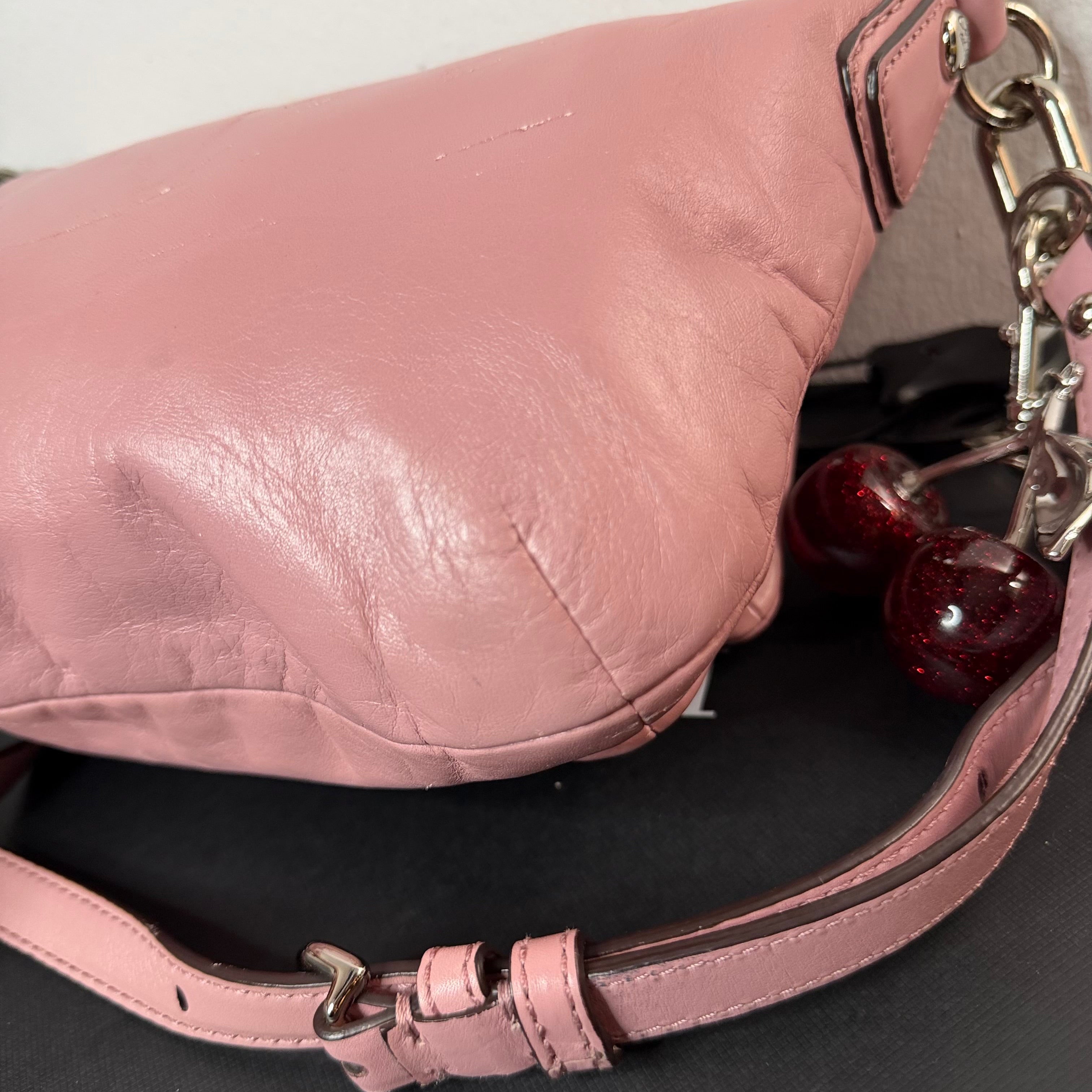 Coach Christine Crossbody Leather Shoulder Bag 14771