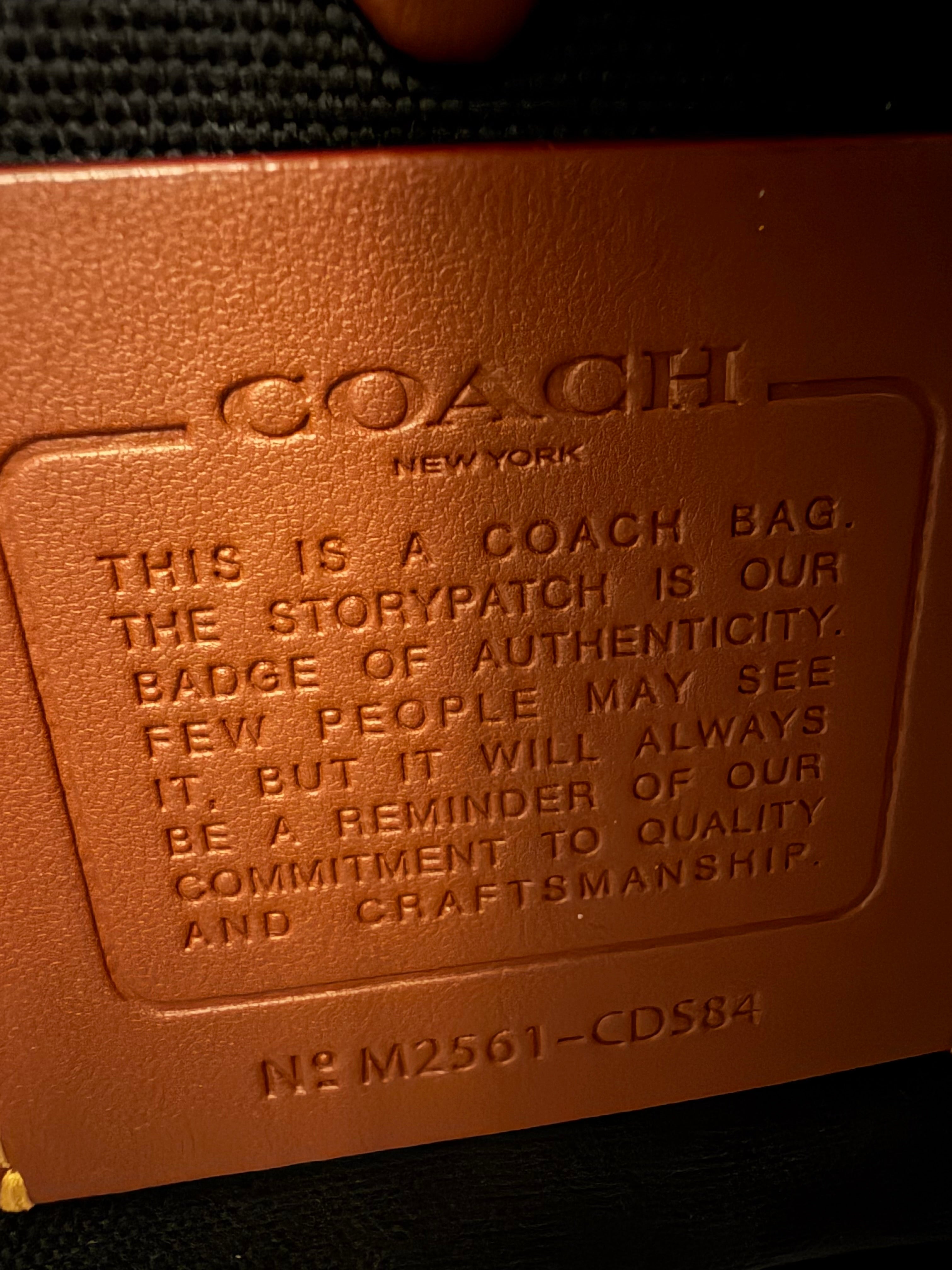 Coach Dakota Crossbody Bag Loved Leather CDS84