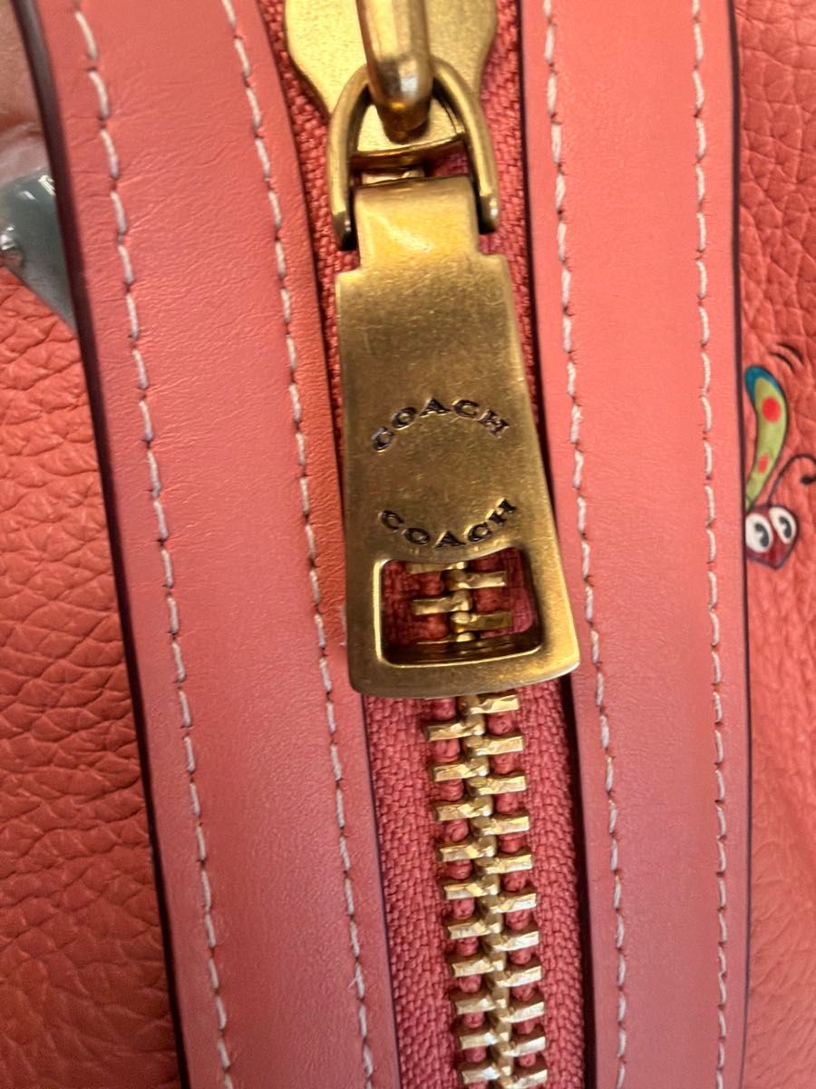 Disney X Coach Rogue 25 Mickey Mouse Garden Floral