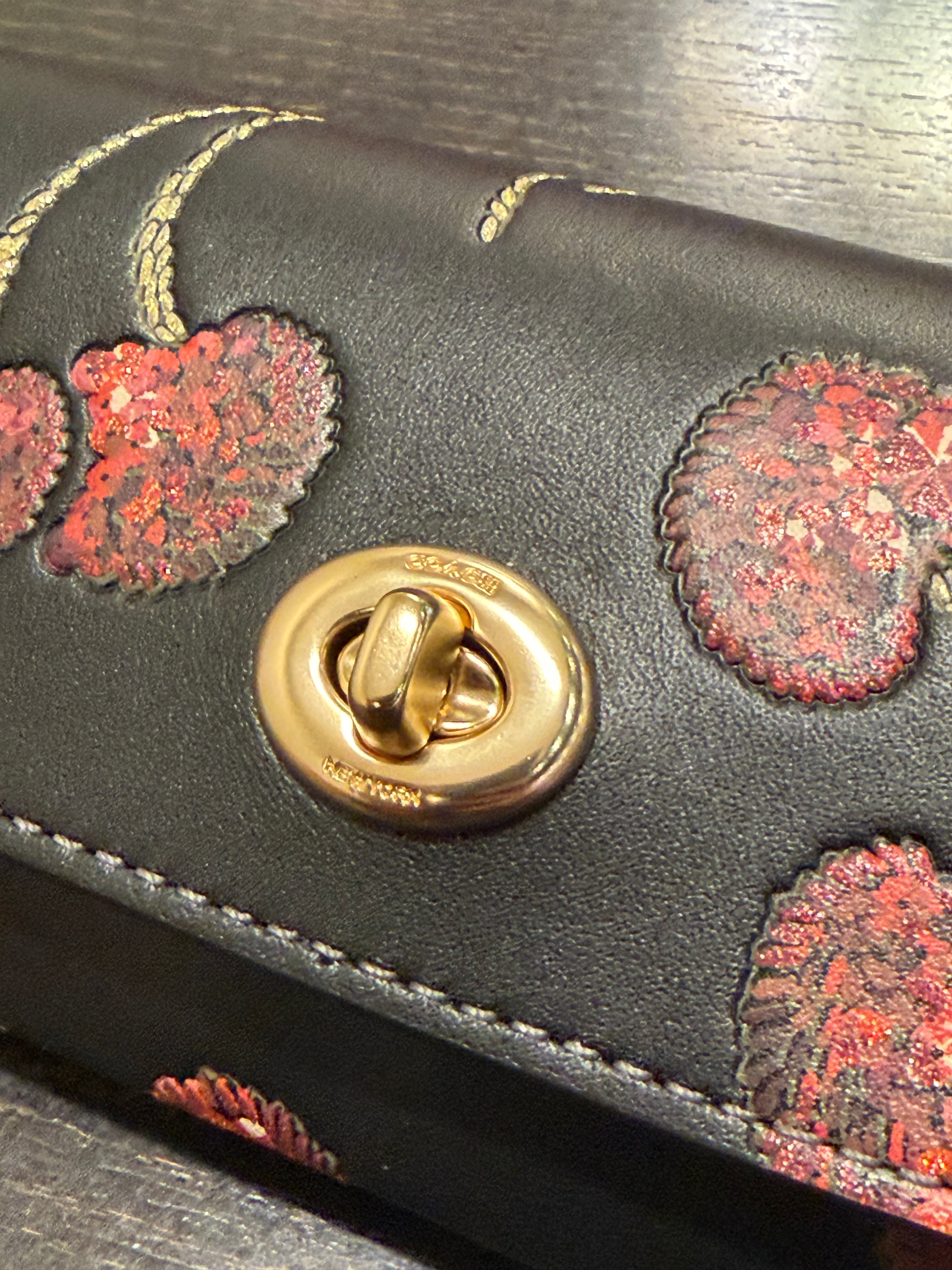 Coach Sunglass Case With Cherry Print CDD74 smooth leather/Gold/Black Multi