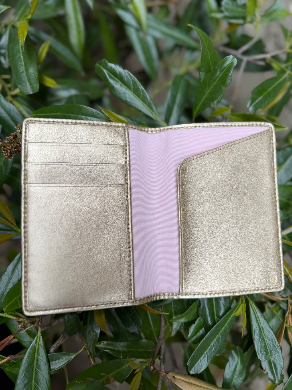 Coach Passport Holder Jacquard signature Gold Trim
