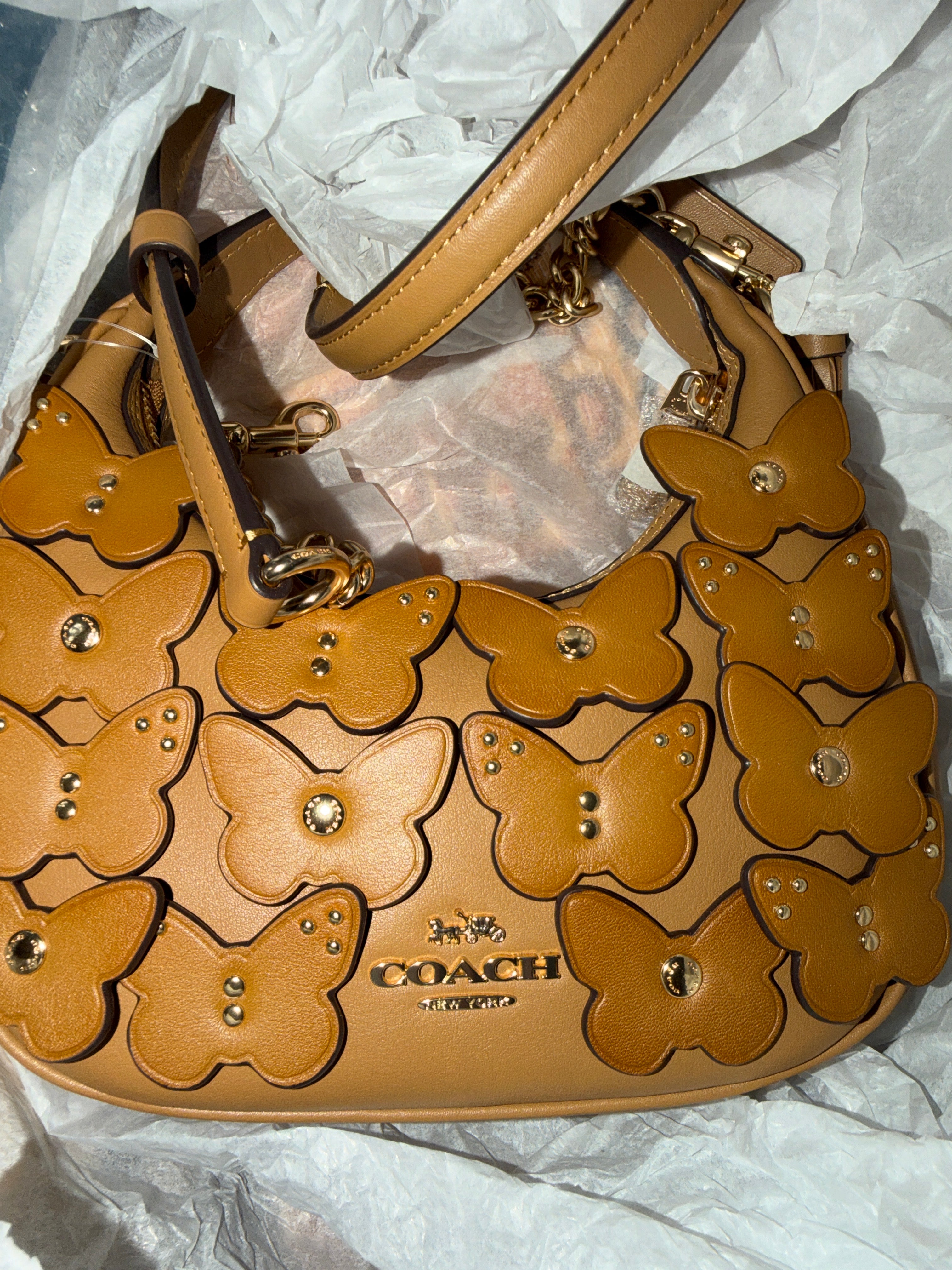 Coach Carmen Mini Crossbody Bag With Butterfly Applique