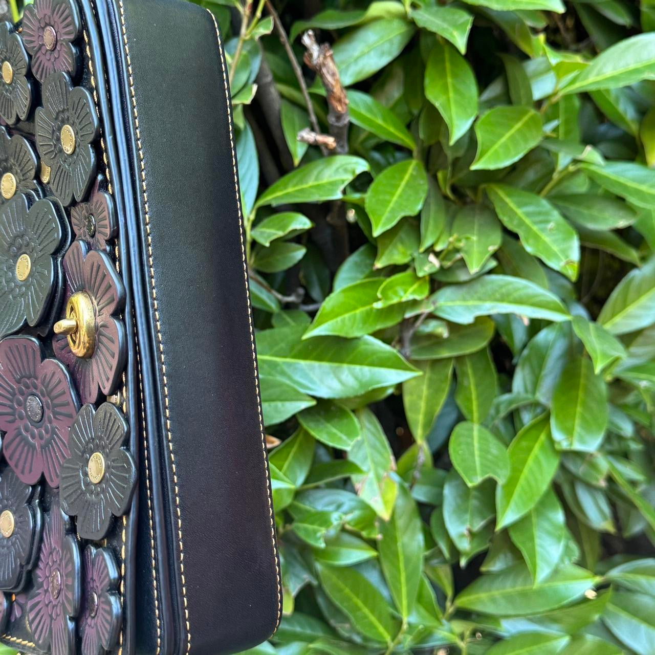 COACH 1941  Dinky with Tea Rose Applique Black Glovetanned Leather 38197