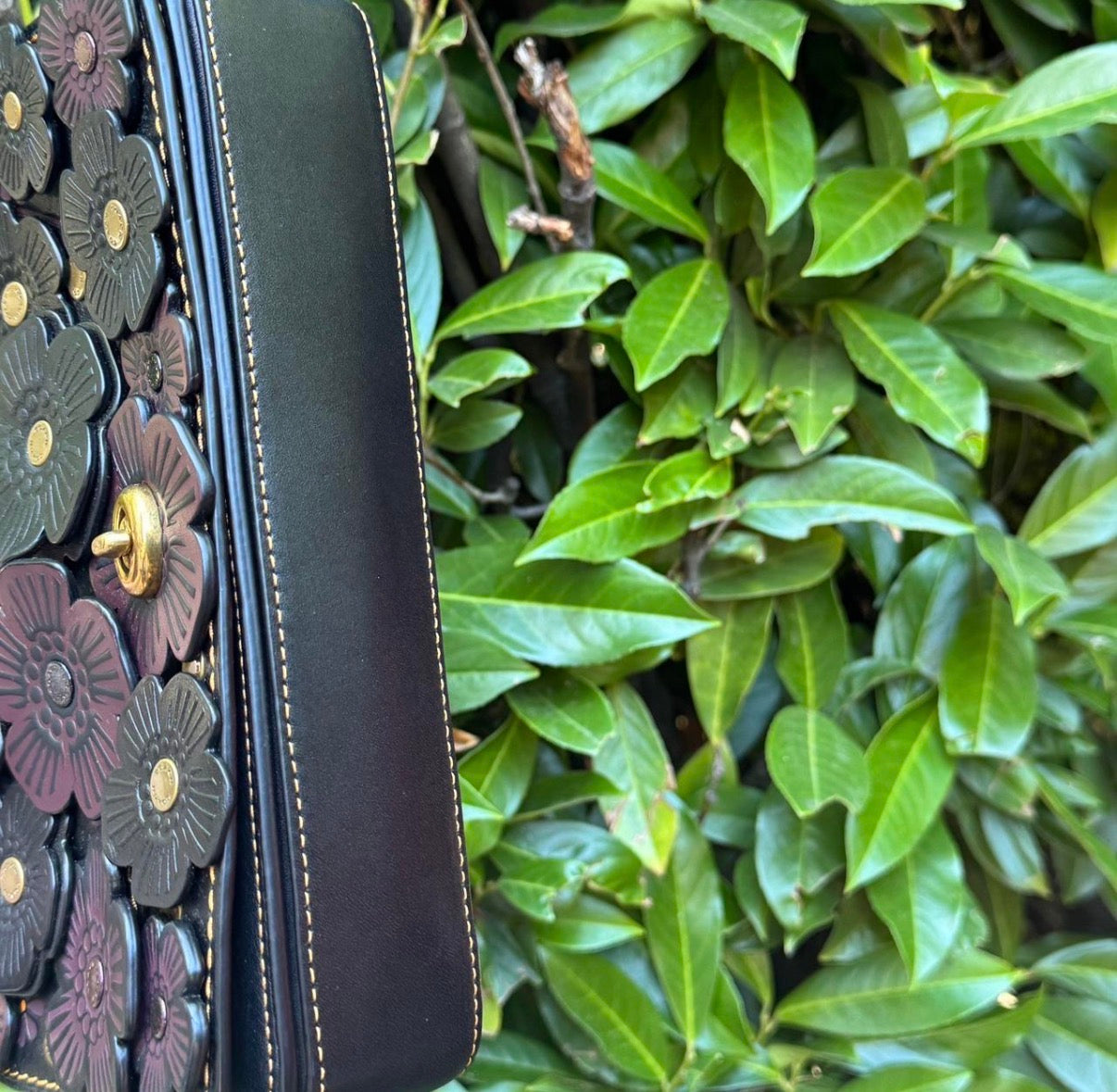 COACH 1941  Dinky with Tea Rose Applique Black Glovetanned Leather 38197