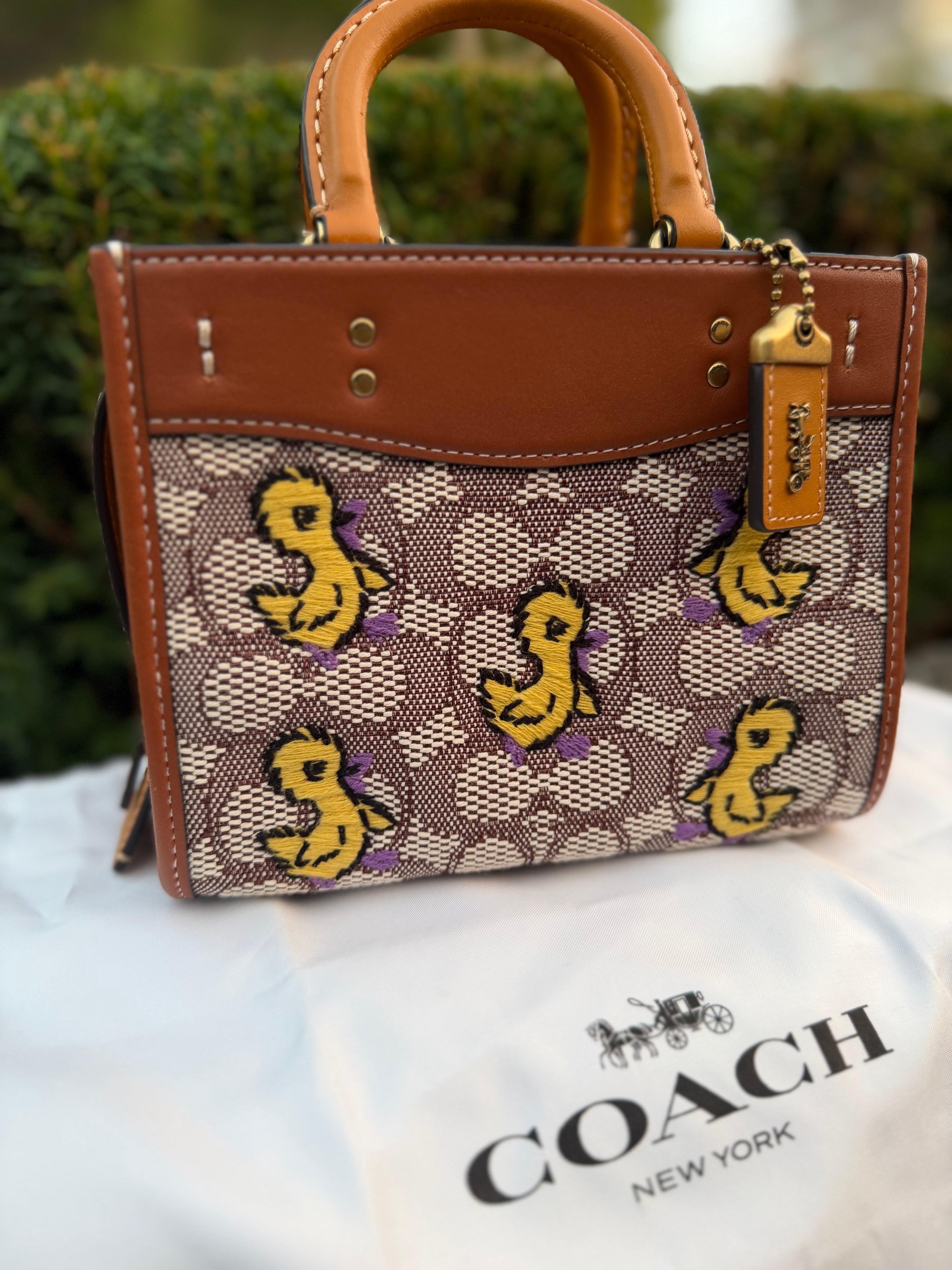 Coach Rogue 17 In Signature Textile Jacquard With Duck Motif C6164 Crossbody Bag