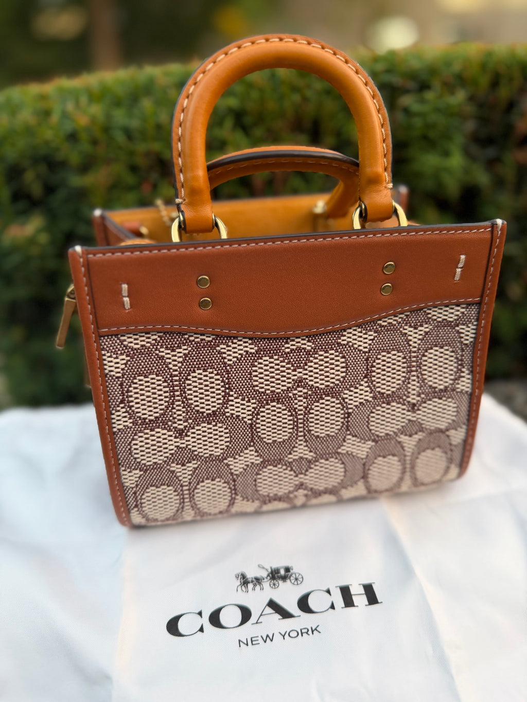 Coach Rogue 17 In Signature Textile Jacquard With Duck Motif C6164 Crossbody Bag