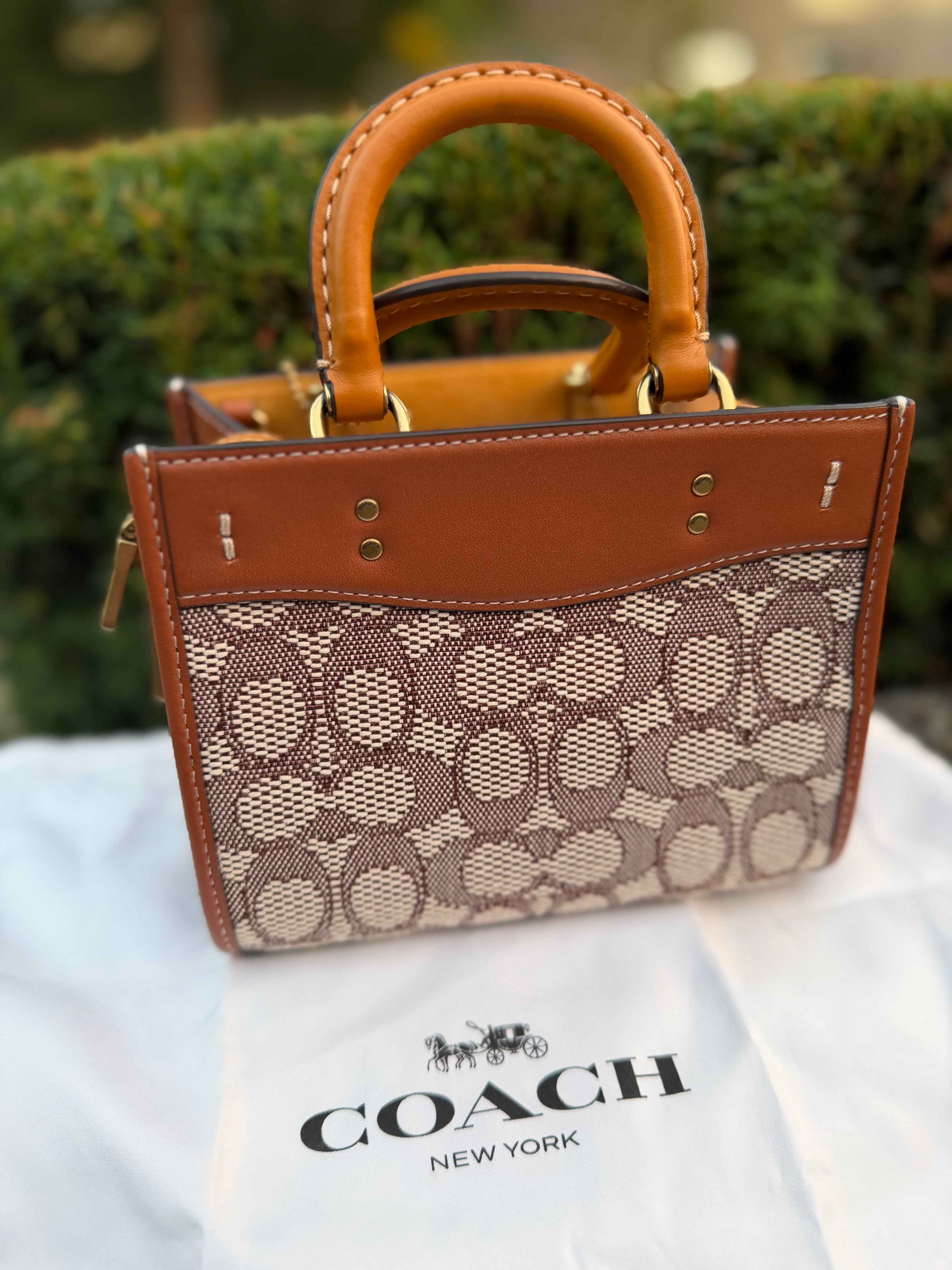Coach Rogue 17 In Signature Textile Jacquard With Duck Motif C6164 Crossbody Bag