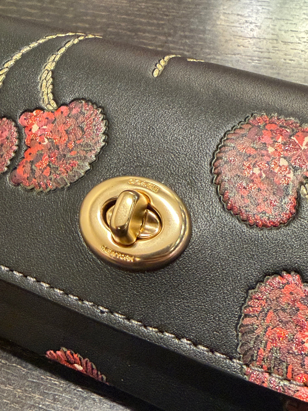 Coach Sunglass Case With Cherry Print CDD74 smooth leather/Gold/Black Multi
