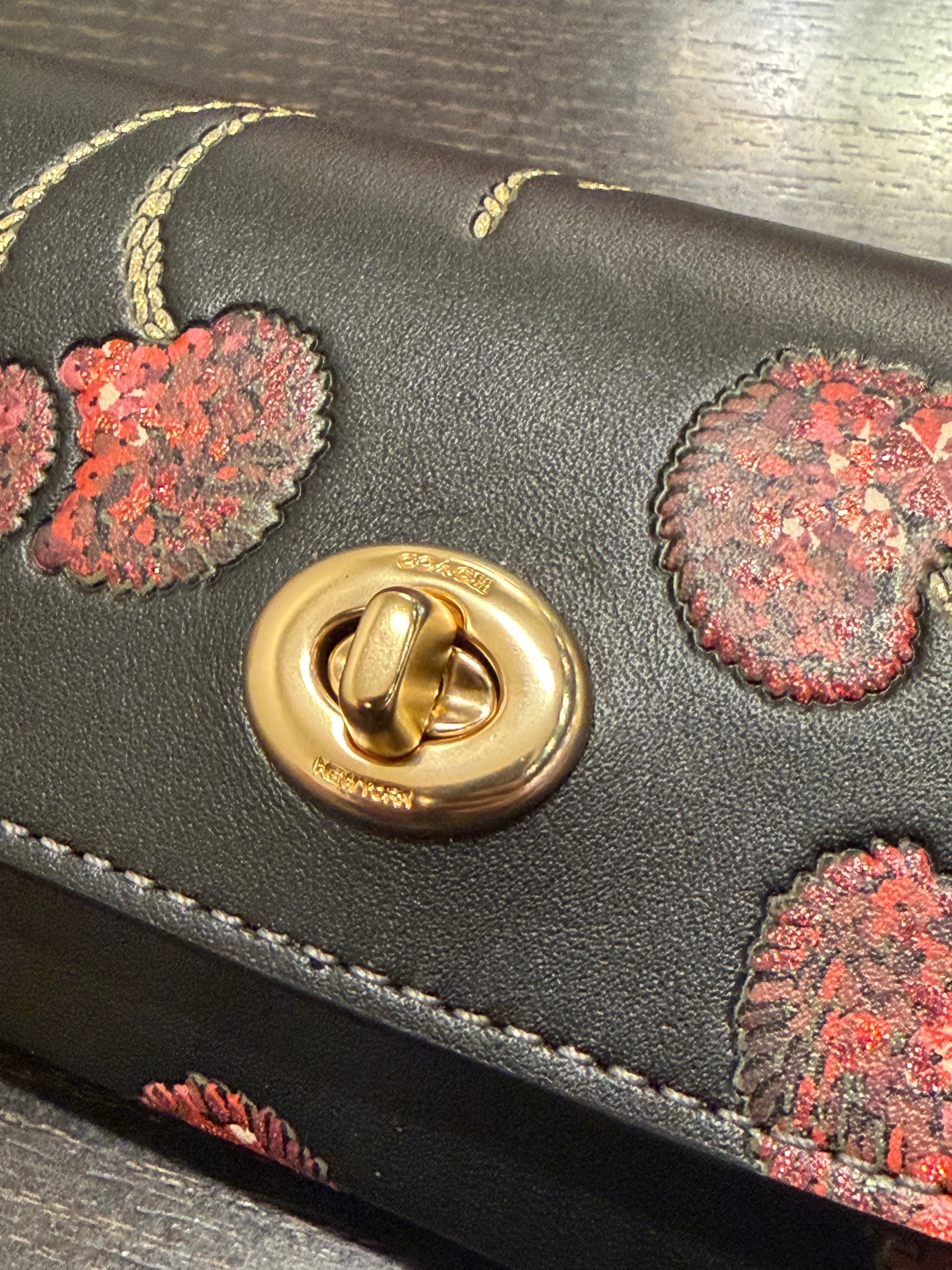Coach Sunglass Case With Cherry Print CDD74 smooth leather/Gold/Black Multi
