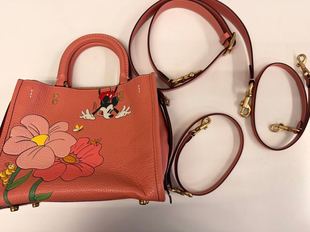 Disney X Coach Rogue 25 Mickey Mouse Garden Floral