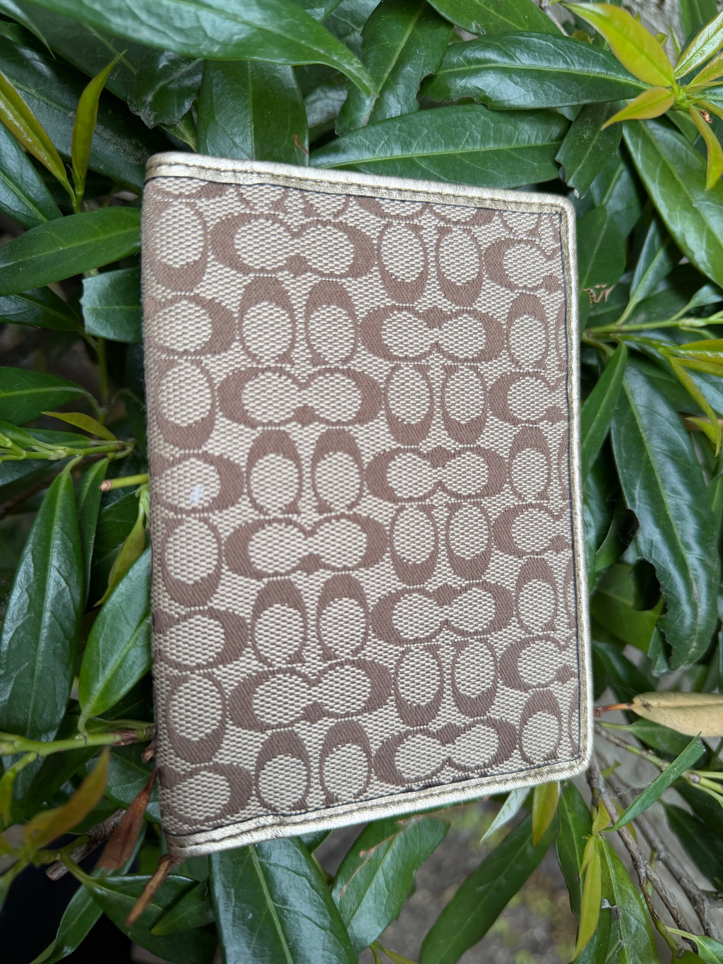 Coach Passport Holder Jacquard signature Gold Trim