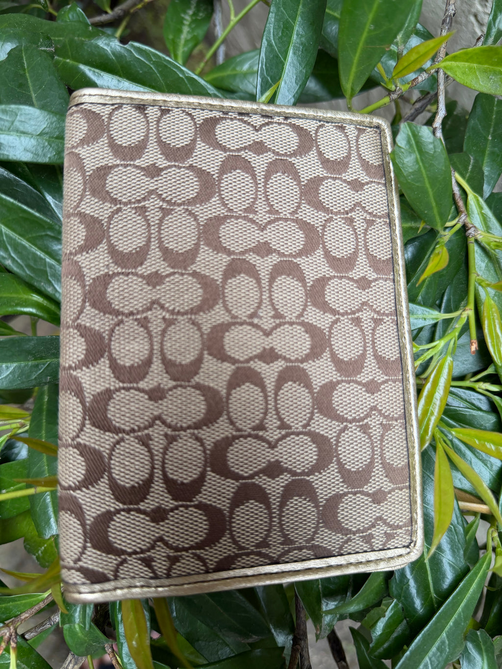 Coach Passport Holder Jacquard signature Gold Trim