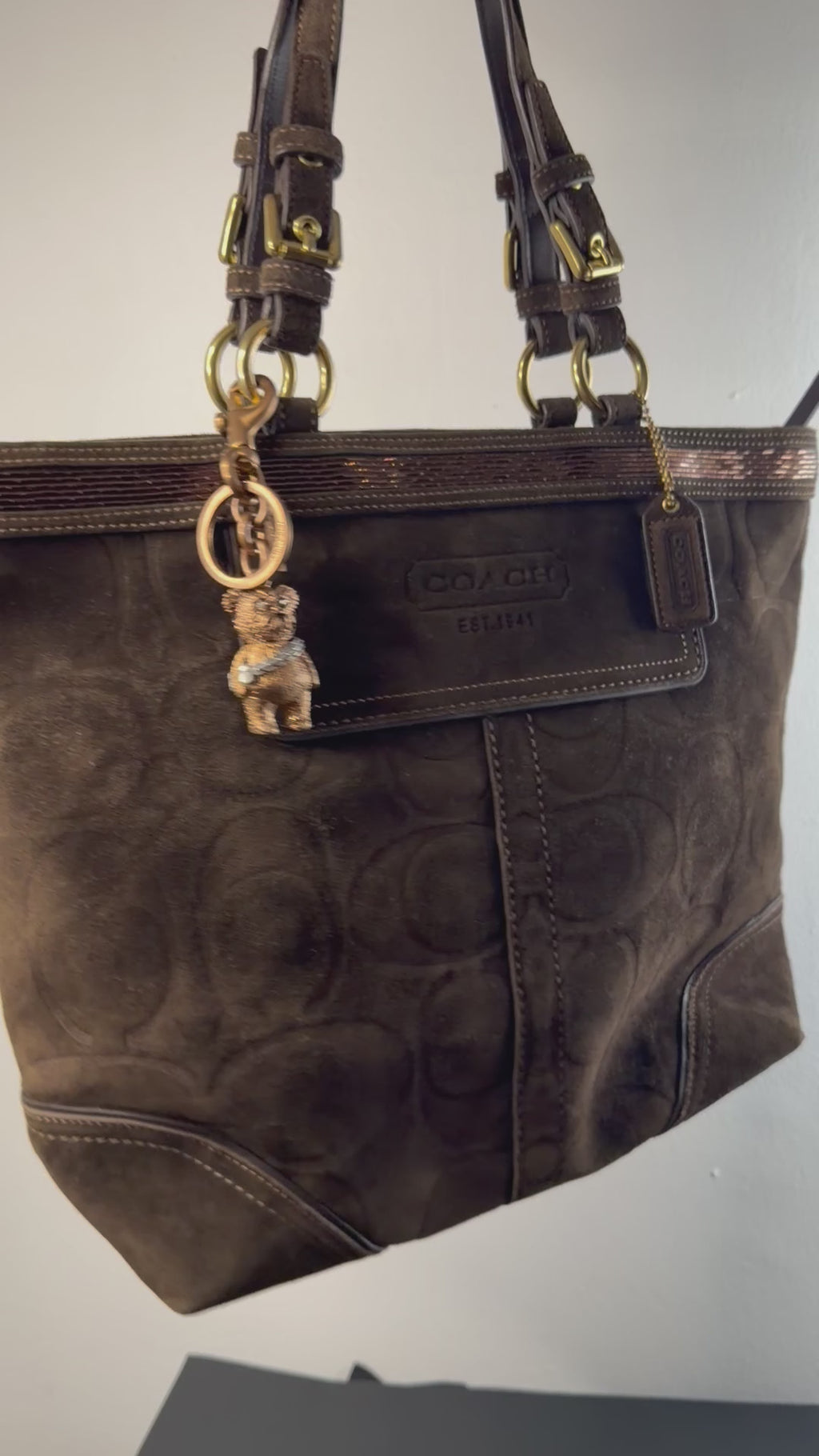 brown signature suede coach